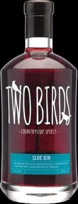 Bouteille de spiritueux : Sloe Gin de la marque Two Birds