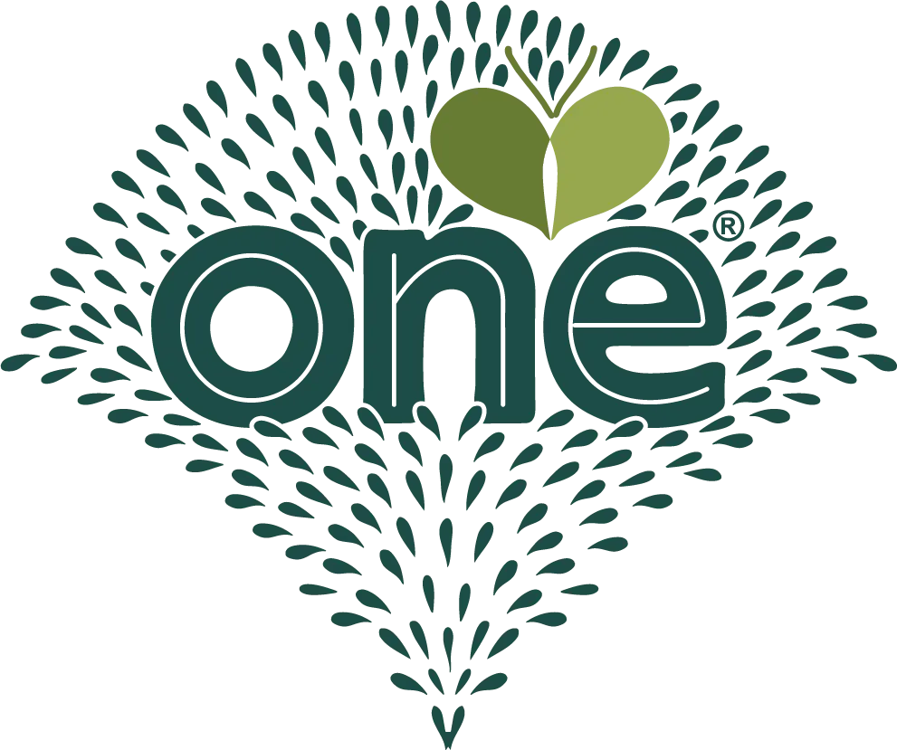 Logo de la marque de spiritueux : One Gin