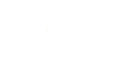 Logo de la marque de spiritueux : The Duchess Rhum