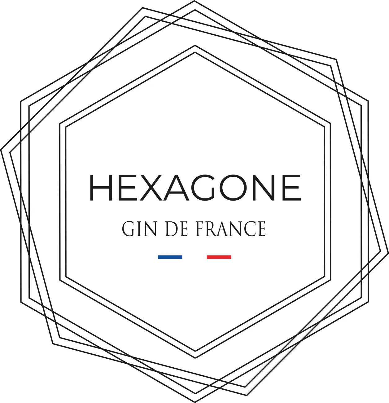 Logo de la marque de spiritueux : Hexagone Gin